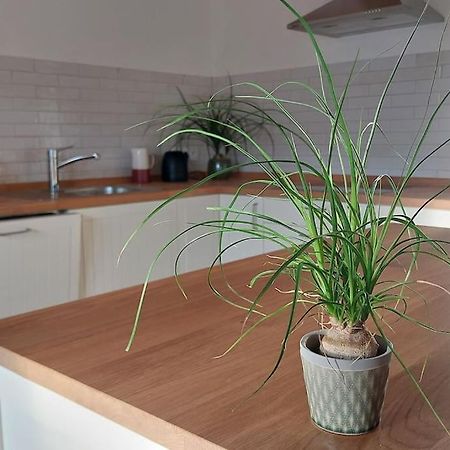 Ferienwohnung Stern Unterthingau Ngoại thất bức ảnh