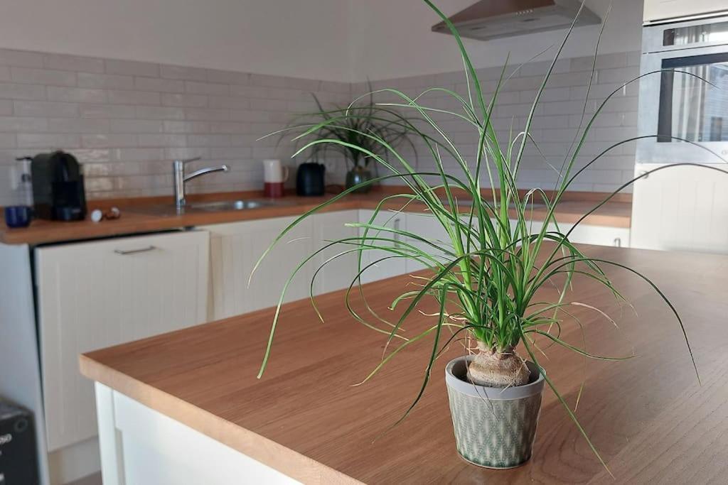 Ferienwohnung Stern Unterthingau Ngoại thất bức ảnh